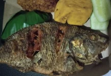 Nila Hitam Goreng : Hidangan Sederhana Nikmat dan Renyah