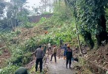 Dua Pekan, Lima Titik Jalan di Tasikmalaya Tertimpa Longsor