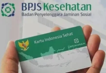 DTSEN dalam Program BPJS PBI Jaminan Kesehatan Nasional