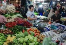 Harga Kepokmas Naik, Acuviarta Pertanyakan Keseriusan Pemerintah