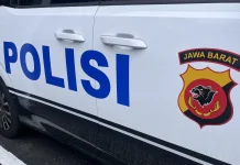 Polisi dan BKSDA Tindak Lanjut Laporan Monyet Peliharaan Lepas yang Gigit Warga