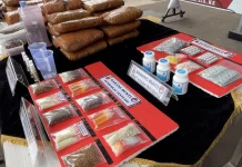 Produksi dan Jual Tembakau Sintetis, Ibu Rumah Tangga Ditangkap Polisi