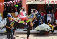 Kuda Renggong, Denyut Budaya Sunda Bertahan Ditengah Modernisasi