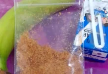 Porsi Minimalis MBG di Tasikmalaya Ramai Diperbincangkan