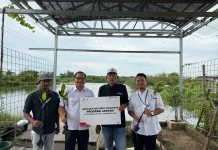 Melalui Konservasi Mangrove, Pertamina EP Perkuat Pesisir Cirebon