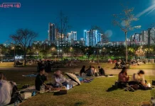 Tren Wisata Baru: Turis Ingin ‘Hidup Seperti Orang Korea’