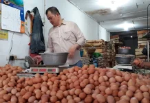 Hari ke 9 Ramadan, Harga Telur di Pasar Cikurubuk Melonjak