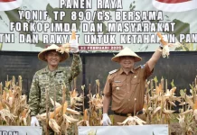 Panen Raya, Bupati : Jaga Ketahanan Pangan