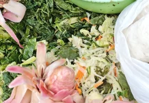 Pecel dengan Aroma Daun Kecombrangnya Bikin Perut Keroncongan