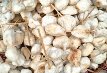 Cilok Goreng. Inovasi Jajanan Diburu saat Ramadhan