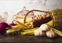 Panen Jagung dan Kesiapan Pangan jelang Lebaran
