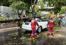 Dua Penumpang Selamat saat Pohon Tumbang Timpa Mobil di Sulanjana