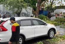 Hujan Deras dan Angin Kencang Terjang Bandung, 8 Pohon Tumbang di Sejumlah Titik