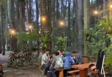 Wisata Tahura di Tempat Kopi Garung, Sensasi Ngopi di tengah Alam