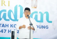 Wali Kota Bandung Imbau Warga Waspada Pohon Tumbang saat Fenomena Muson