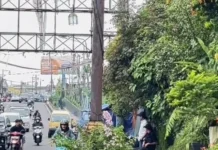 Peredaran Obat Terlarang di  Cianjur  Kian Meresahkan