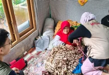 Puskesmas pantau ibu korban gara gara labu