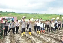 Program Ketahanan Pangan, Polda Jabar Tanam Jagung di Sumedang
