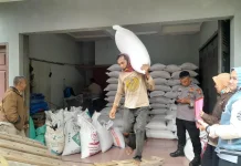 Ketahanan Pangan, Polsek Sukawening Monitoring Hasil Panen Jagung Petani