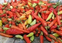 Pemkot Tasikmalaya Siapkan Strategi Menekan Inflasi Menjelang Idul Fitri