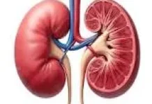 Kenali Tanda - Tanda Gangguan Ginjal sejak Dini
