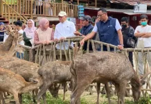 Kawah Putih dan Rancaupas Dipercantik jelang Lebaran, Palawi Dorong Green Tourism