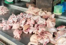 DKPP Subang, Jamin Harga Kepokmas Stabil Kecuali Harga Daging Ayam dan Sapi Naik