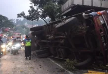 Truk Sapi Terguling di Nagreg, Seorang Pemudik Tewas dan Tiga Sapi Lepas