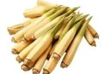 Sederet Manfaat Rebung untuk Kesehatan Tubuh