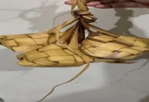 Resep Ketupat Anti Gagal, Praktis dan Pulen untuk Sajian Idulfitri