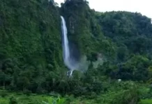Curug Citambur Menawarkan Keindahan Alam Eksotik
