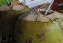 Degan : Minuman Pelepas Dahaga dan Menyehatkan