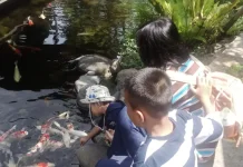 Hutanika: Space Alternatif Menikmati Hutan di Kota Bandung