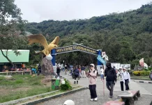 Naik 20 Persen, TWA Papandayan Dibanjiri Wisatawan