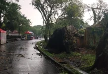 Hujan Deras, Tembok Stadion Wiradadaha Tasikmalaya Ambruk Ditimpa Pohon