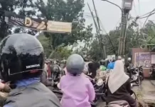 Pohon Tumbang Membuat Kemacetan Panjang di Jonggol Cariu
