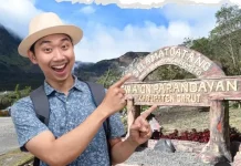 Keindahan Eksotis dan Pesona Alam Gunung Papandayan