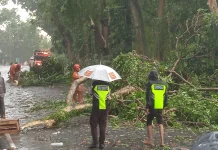 Pohon Patah akibat Hujan, Ganggu Lalu Lintas di Jalan Hardjakusumah Cimahi