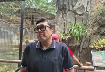 Megawati Instruksikan PDI Perjuangan Jabar Galang Donasi untuk Bandung Zoo