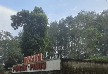 Taman Wisata Puncak Pinus yang Menjadi Salah Satu Destinasi Favorit Wisatawan