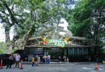 Pemprov Bakal Tanggung Gaji Karyawan Bandung Zoo yang Tertunda