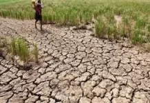El Nino 2026 Terdeteksi, Distanhorti Ambil Langkah Antisipasif