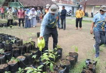 Hari Air Sedunia, SSC :  Prioritaskan Penanaman Pohon