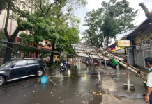 Antisipasi Cuaca Ekstrem, Pemkot Bandung Perketat Pengawasan Pohon dan Reklame