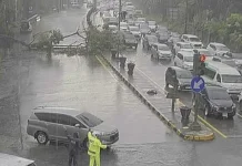 Hujan Badai di Bandung, Puluhan Pohon Tumbang, Satu Orang Meninggal