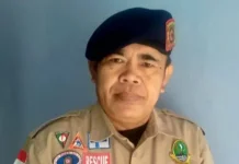 Tagana Imbau Masyarakat Waspada Bencana Pohon Tumbang