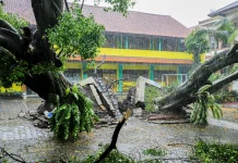 BPBD Kota Bandung Imbau Warga Waspada Cuaca Ekstrem saat Masa Pancaroba
