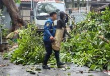 Diskarmatan Bandung Tangani 87 Kejadian Dampak Cuaca Ekstrem, 39 Pohon Tumbang