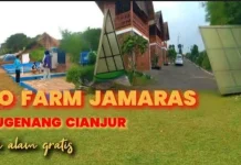 CGW Soroti Dugaan Kejanggalan Jamaras Agro Farm