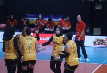 Popsivo Polwan Raih Kemenangan Perdana di Final Four Proliga 2026